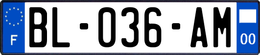 BL-036-AM