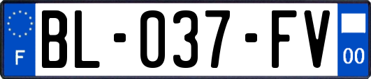 BL-037-FV