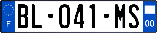 BL-041-MS