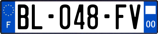 BL-048-FV
