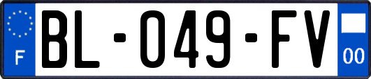 BL-049-FV