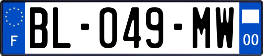 BL-049-MW