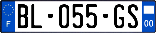 BL-055-GS