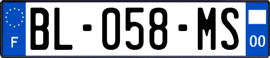 BL-058-MS