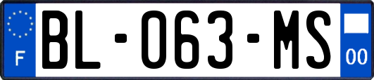 BL-063-MS