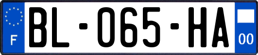 BL-065-HA