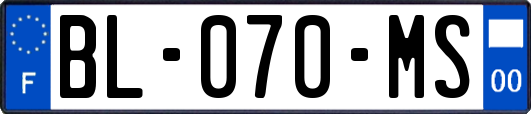 BL-070-MS