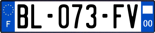 BL-073-FV