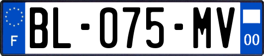 BL-075-MV