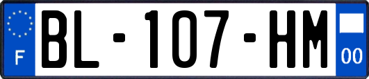 BL-107-HM