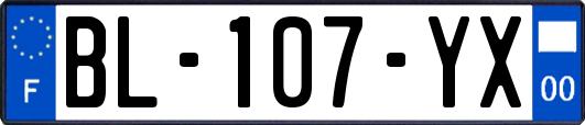 BL-107-YX