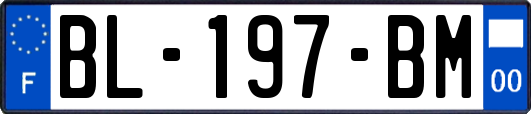 BL-197-BM