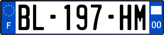 BL-197-HM