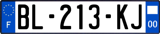 BL-213-KJ