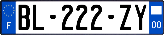 BL-222-ZY
