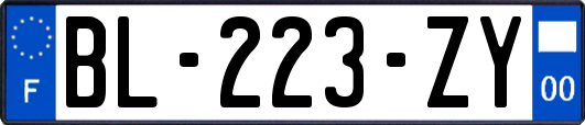 BL-223-ZY