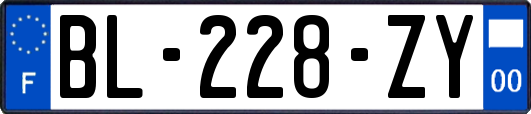 BL-228-ZY