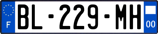 BL-229-MH