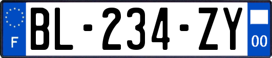 BL-234-ZY