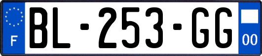 BL-253-GG