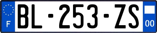 BL-253-ZS