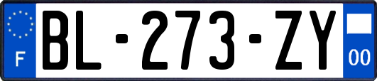 BL-273-ZY