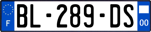 BL-289-DS