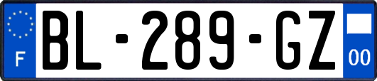 BL-289-GZ