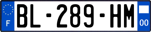 BL-289-HM