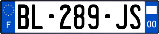 BL-289-JS