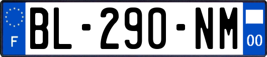 BL-290-NM