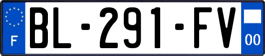 BL-291-FV