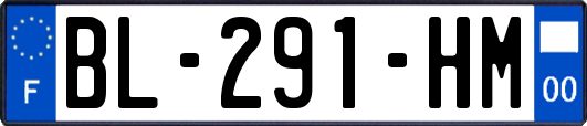 BL-291-HM