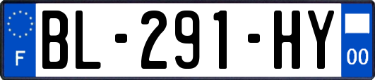 BL-291-HY