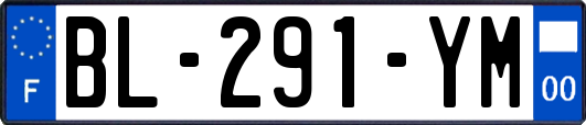 BL-291-YM