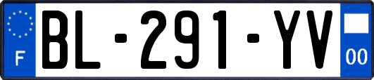 BL-291-YV