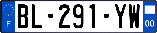 BL-291-YW