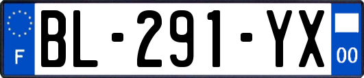 BL-291-YX