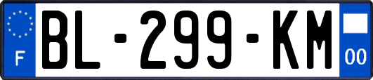 BL-299-KM