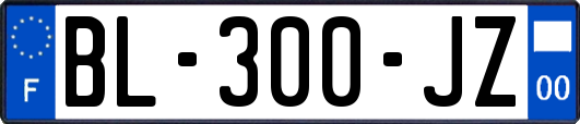 BL-300-JZ