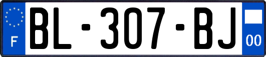 BL-307-BJ