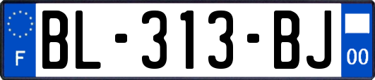 BL-313-BJ