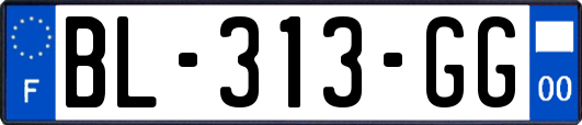 BL-313-GG
