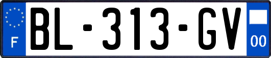 BL-313-GV