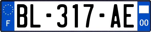 BL-317-AE