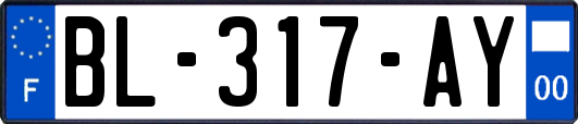 BL-317-AY