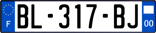 BL-317-BJ