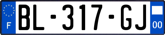 BL-317-GJ