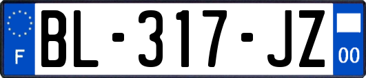 BL-317-JZ