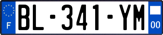 BL-341-YM